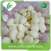 2015 new crop of Peeled garlic Garlic cloves with Top quality