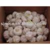 jinxiang garlic new crop