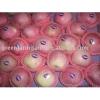 red fuji apple from Shanxi,China in cartons