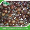 Hot sale high quality bulk sweet fresh chestnuts wholesale