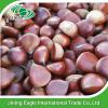 Chinese export price fresh sweet large chestnuts