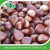 New organic nutritive sweet fresh chestnut wholesale