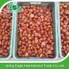New organic nutritive sweet fresh chestnut wholesale #5 small image