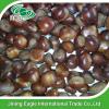 Wholesale organic yanshan fresh chestnut from china
