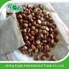 Hot selling top quality fresh chestnuts wholesale