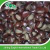 New crop Chinese fresh delicious chestnuts