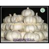 Bulk pure white fresh garlic price for sale #1 small image