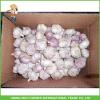 Chinese Normal White Garlic--Rich Farmer Brand