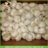 High Quality Fresh Pure White Garlic5.0 -5.5 cm In 1KG Mesh Bag In 10kg Carton For Barbados #3 small image