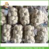 High Quality Fresh Pure White Garlic5.0 -5.5 cm In 1KG Mesh Bag In 10kg Carton For Barbados #5 small image