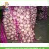 Best Price Fresh Normal White Garlic 5.0CM In 8 kg Mesh Bag For Qatar