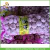 Fresh Pure White Garlic Jinxiang Pizhou High Quality Good Price Mesh Bag In Carton