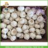 Fresh Pure White Garlic Jinxiang Pizhou High Quality Good Price Mesh Bag In Carton #3 small image