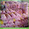 Fresh Pure White Garlic Jinxiang Pizhou High Quality Good Price Mesh Bag In Carton #4 small image