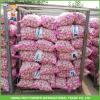 Good Price New Crop Fresh Red Garlic 5.0 CM In 10 KG Mesh Bag For Lebanon