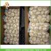 2017 Jinxiang Laiwu Pizhou Fresh White Garlic 5.0CM Mesh Bag In Carton Good Price