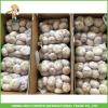 2017 Cheap Price High Quality New Fresh Normal White Garlic 5.0cm In 10KG Carton For Bangladesh #3 small image