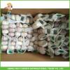 2017 Cheap Price High Quality New Fresh Normal White Garlic 5.0cm In 10KG Carton For Bangladesh #4 small image
