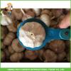 2017New Crop Fresh Normal White Garlic 5.0 cm In 20 kg Mesh Bag For Ecuador #1 small image