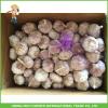 2017New Crop Fresh Normal White Garlic 5.0 cm In 20 kg Mesh Bag For Ecuador