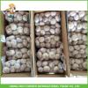Fresh Normal White Garlic In10kg Carton 5.5 CM For Brazil High Quality Cheapest Price
