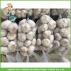 Fresh Normal White Garlic In10kg Carton 5.5 CM For Brazil High Quality Cheapest Price #5 small image