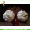 Hot Sale Top Quality New Crop Fresh Pure White Garlic 5.0 cm In 10KG Carton For Tunisia #2 small image