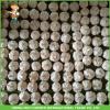 Hot Sale Top Quality New Crop Fresh Pure White Garlic 5.0 cm In 10KG Carton For Tunisia #3 small image