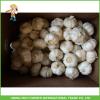 Hot Sale Top Quality New Crop Fresh Pure White Garlic 5.0 cm In 10KG Carton For Tunisia #4 small image