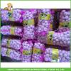 Hot Sale Top Quality New Crop Fresh Pure White Garlic 5.0 cm In 10KG Carton For Tunisia