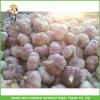 2017 New Top Quality Fresh Purple Garlic Mesh Bag In Carton For Exporter #2 small image