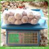 2017 New Top Quality Fresh Purple Garlic Mesh Bag In Carton For Exporter #3 small image