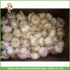 2017 New Top Quality Fresh Purple Garlic Mesh Bag In Carton For Exporter