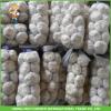 2017 New Top Quality Fresh Purple Garlic Mesh Bag In Carton For Exporter #5 small image
