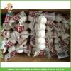 New Crop Fresh Pure White Garlic 5.0 cm In 8kg Mesh Bag For Kuwait Cheapest Price #3 small image