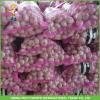 Top Quality And Best Quality Fresh Red Garlic In 8kg Carton For Saudi Arabia