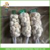 Cheapest Price High Quality Fresh Pure White Garlic 5.0CM In 8 kg Mesh Bag For Dubai #3 small image