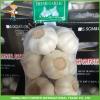 Cheapest Price High Quality Fresh Pure White Garlic 5.0CM In 8 kg Mesh Bag For Dubai #4 small image