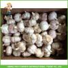 Fresh Normal White Garlic 5.0cm In 10kg Carton For Columbia Cheapest Price High Quality #1 small image