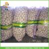 2017 Hot Sale Fresh White Garlic Mesh Bag In Carton Good Price High Quality #4 small image