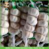2017 New Fresh Pure White Garlic For Belize In 10kg Carton Good Price High Quality #4 small image