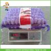 Cheapest Price High Quality Fresh Red White Garlic Mesh Bag In 10KG Carton #1 small image