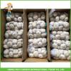 Cheapest Price High Quality Fresh Red White Garlic Mesh Bag In 10KG Carton #4 small image