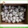 Cheapest Price High Quality Fresh Red White Garlic Mesh Bag In 10KG Carton #5 small image
