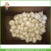 2017 New Crop Fresh Snow White Garlic Mesh Bag In Carton For Sale
