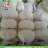 2017 New Crop Fresh Snow White Garlic Mesh Bag In Carton For Sale #2 small image