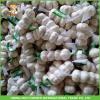 2017 New Crop Fresh Snow White Garlic Mesh Bag In Carton For Sale