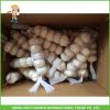 Top Quality And Best Price Fresh Normal White Garlic 5.0CM Mesh Bag In Carton