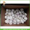 Top Quality And Best Price Fresh Normal White Garlic 5.0CM Mesh Bag In Carton #5 small image