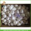 Cheapest Price High Quality Fresh Super White Garlic Mesh Bag In Carton #3 small image